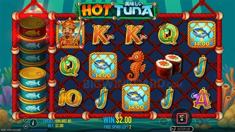 bingoplus app on mobile phone