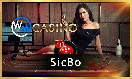 Themed Bingo Game on Bingoplus